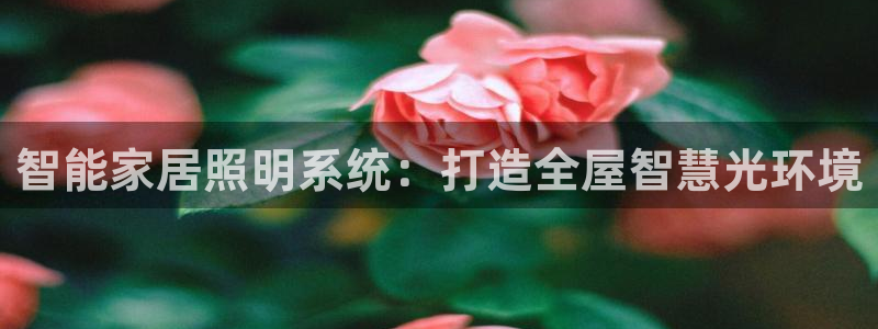 云顶国际提款不到账怎么回事