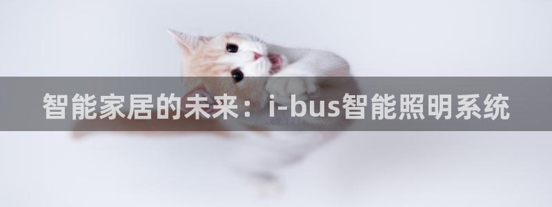 云顶s6国际服