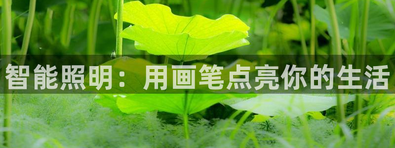 云顶集团存76送76