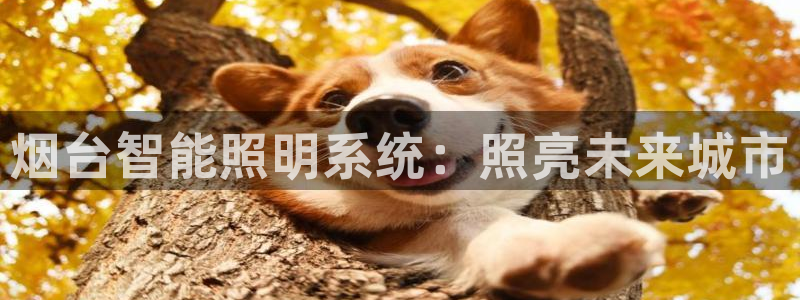 云顶电竞下载