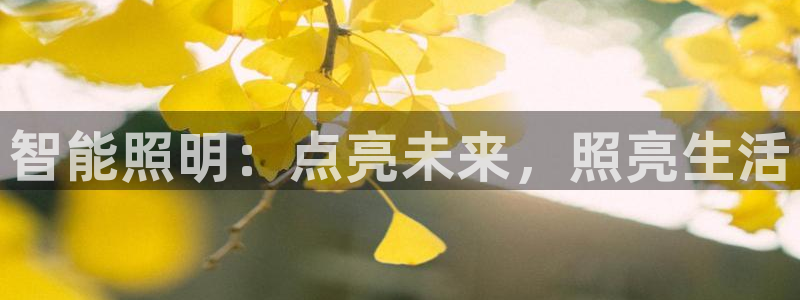 云顶国际电子游戏