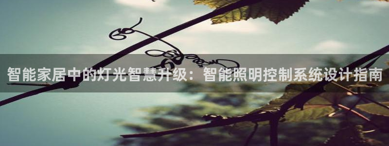 云顶国际物流
