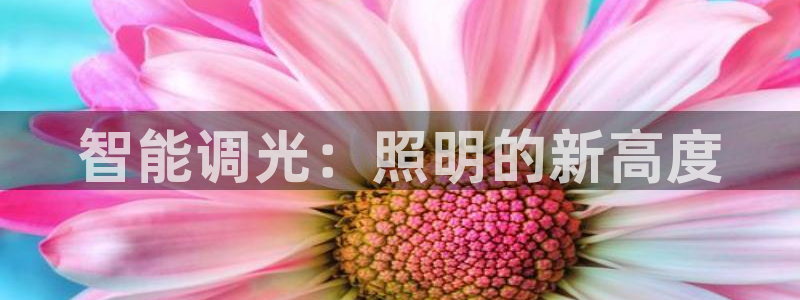 云顶国际集团官网首页入口