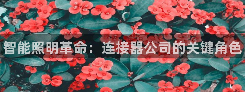 云顶集团genting
