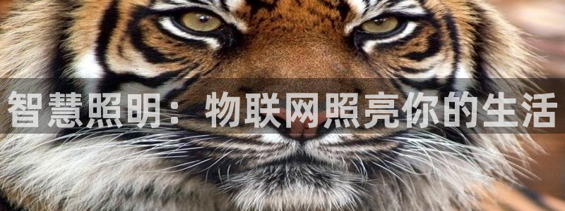 云顶国际中国官方网站入口