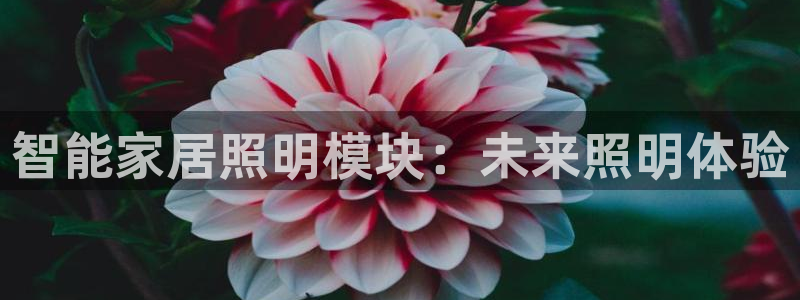 云顶国际服哪个服人多