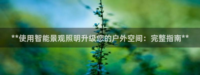 云顶集团app免费下载安卓
