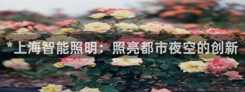 云顶国际装饰设计怎么样