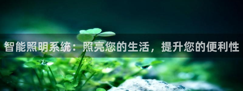 云顶国际服账号