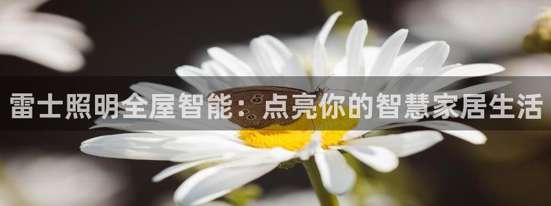 云顶国际集团官网招聘