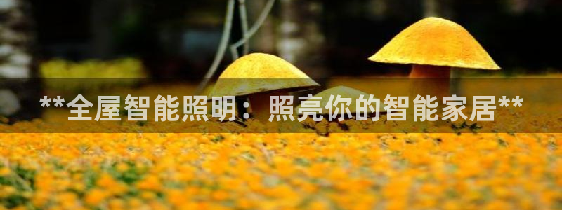云顶国际旅行社怎么样
