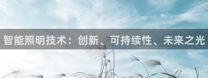云顶国际app官方下载安装手机版