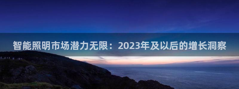 云顶国际酒店老板简介