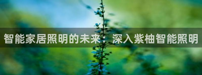 云顶中学国际部