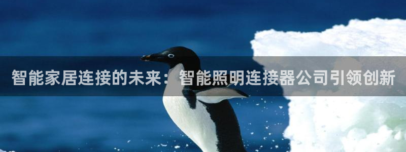 云顶国际测试服免费