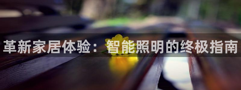 云顶手游国际版