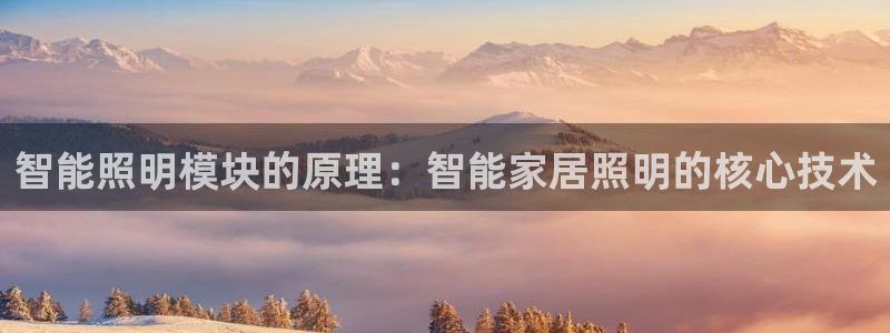 云顶国际有限公司