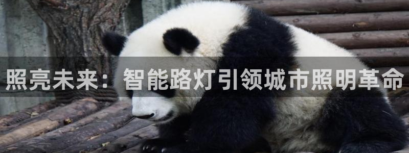 云顶国际大厦物业电话