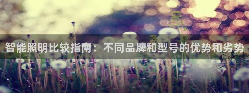 云顶集团公司简介