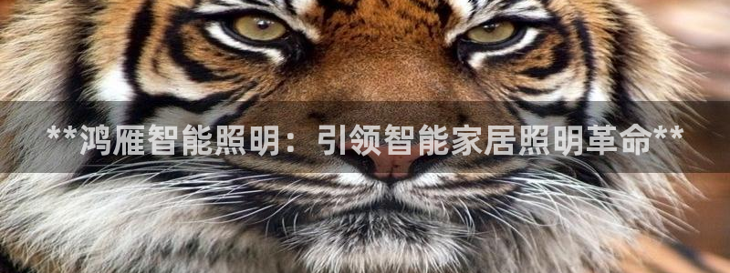 云顶国际平台为什么提现不了呢