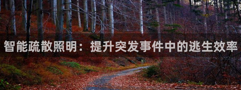 云顶国际服mac汉化