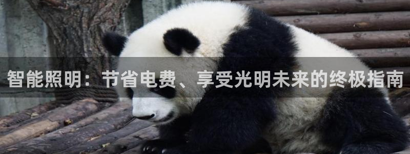 2418云顶