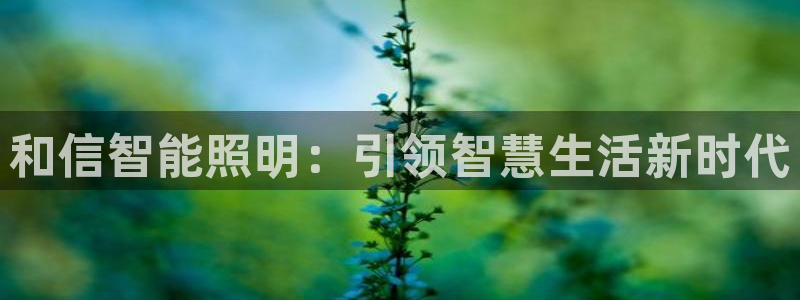 云顶集团高管