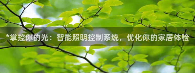 云顶国际培训机构