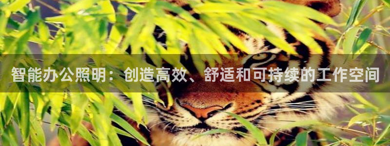 云顶国际晟荣协会