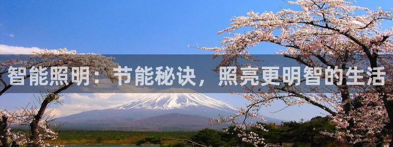 云顶集团公司简介