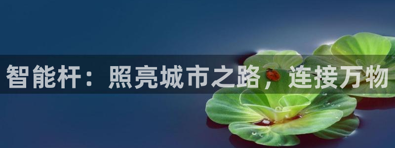 云顶国际商务会所地址