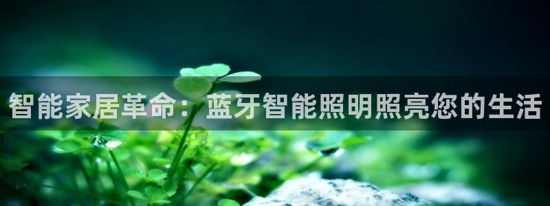 云顶国际app官方下载安卓