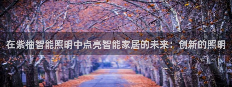 云顶国际公馆户型图