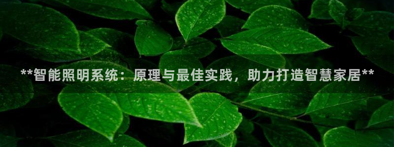 云顶集团董事长林东简历介绍