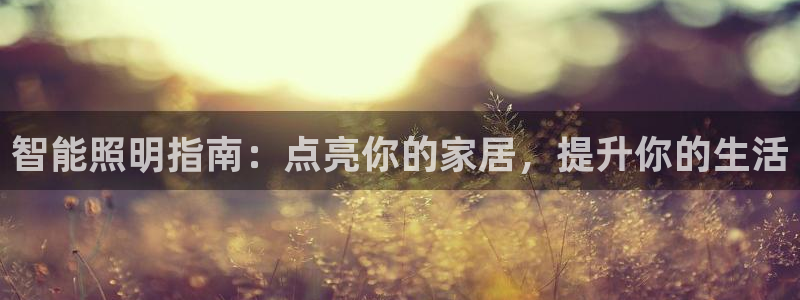 云顶国际有限公司