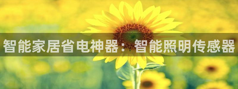 云顶国际软装公司怎么样知乎
