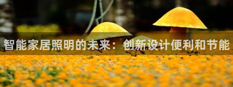 云顶国际公馆房价