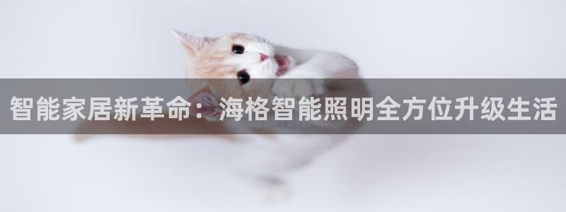 云顶国际网站2713366