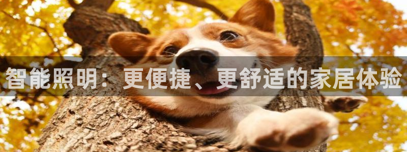 云顶集团rt电子游戏