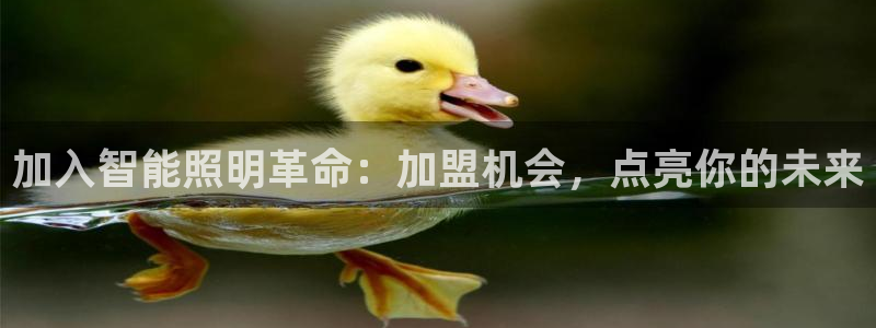 云顶国际服联机