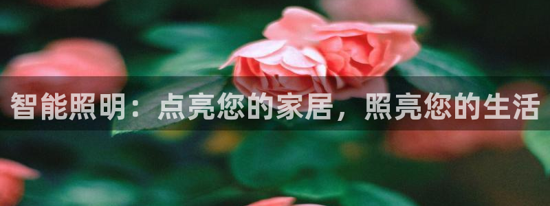 云顶国际俱乐部多少钱一个小时
