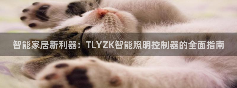 云顶国际app官网下载安装