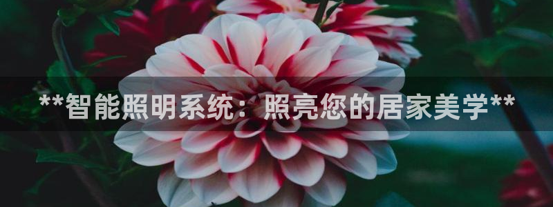 云顶集团老总