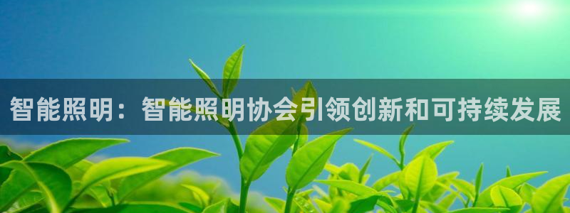 云顶国际网站是多少