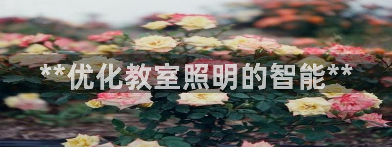 云顶国际服版本