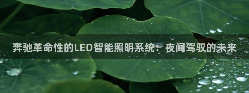 云顶12300线路