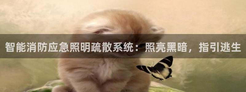 云顶国际在线购彩app
