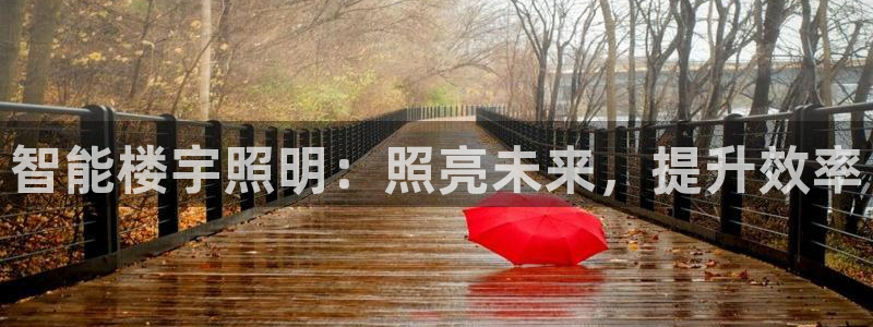 云顶国际的网址是多少