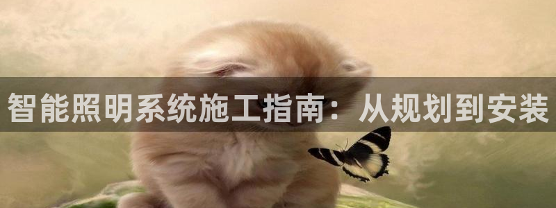 云顶国际服哪个服人多