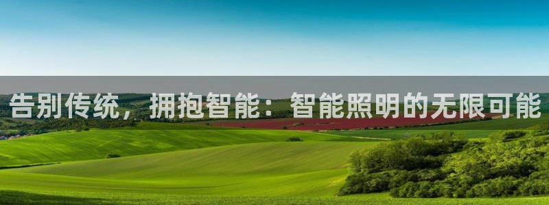 云顶集团有限公司